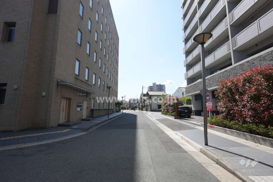 敷地南側の前面道路