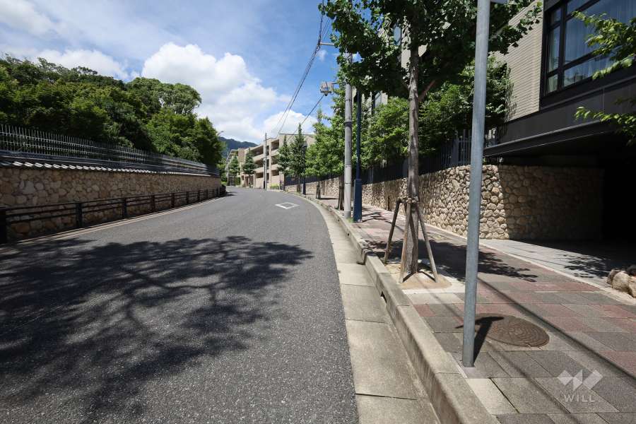 敷地西側の前面道路（南側から）
