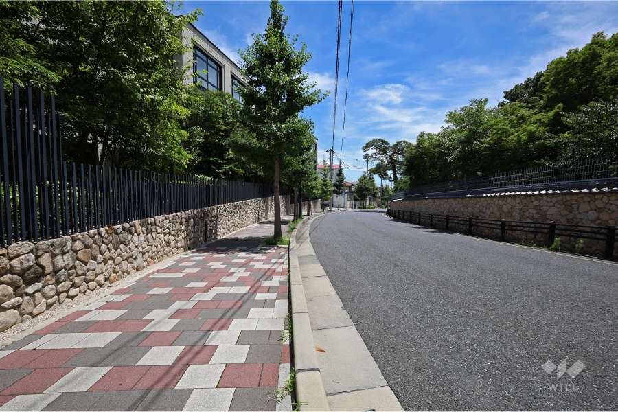 敷地西側の前面道路（北側から）