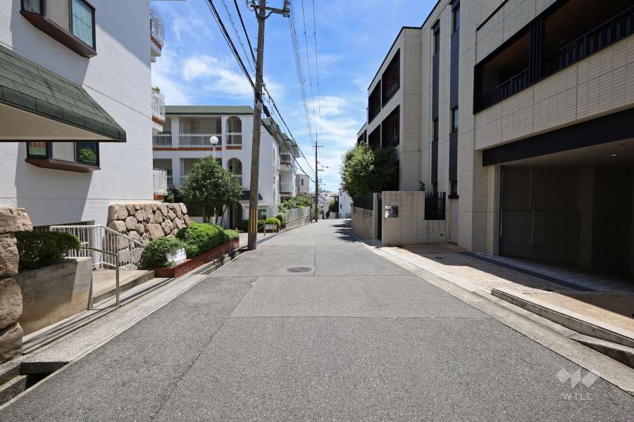 敷地東側の前面道路（北側から）