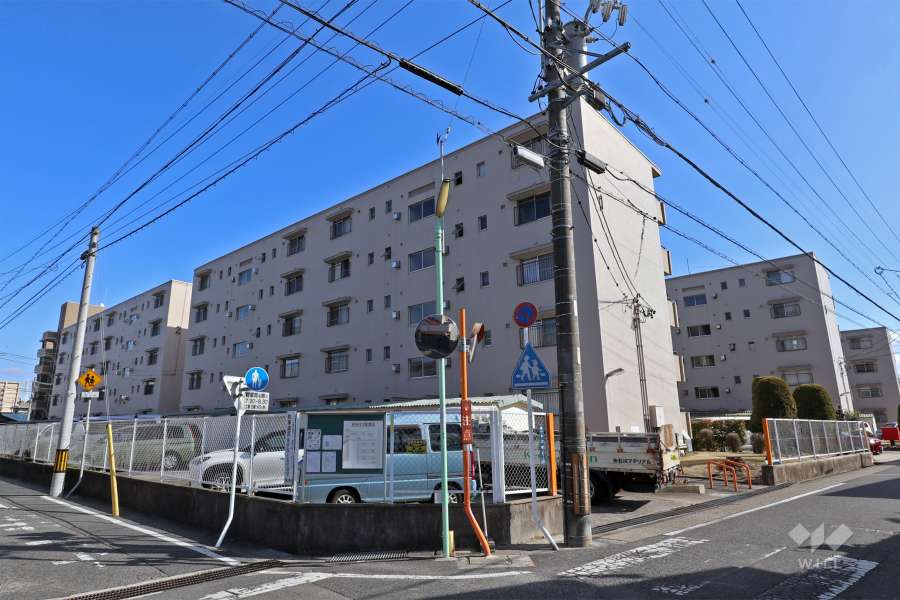 長栄住宅1号棟の外観（北側から）