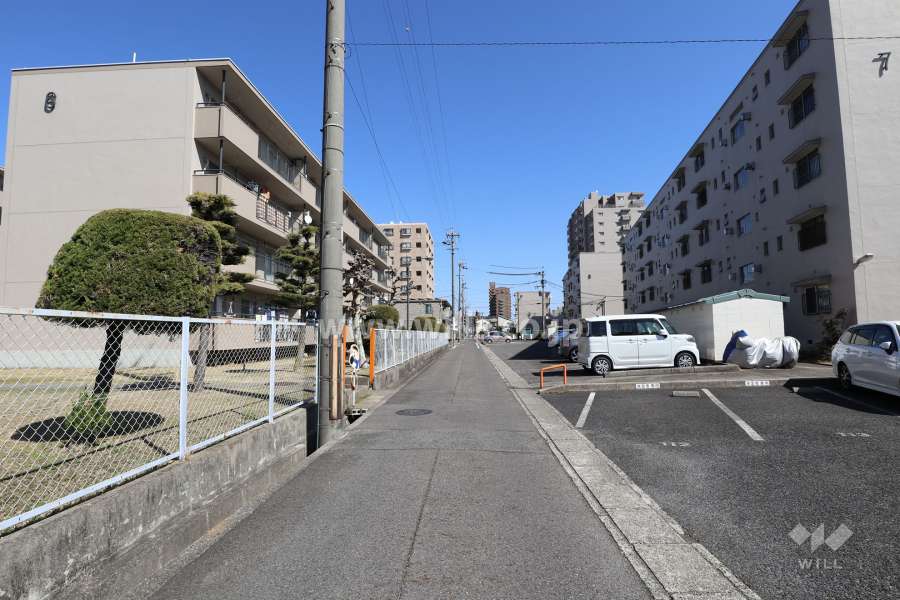 敷地の南側前面道路（西側から）