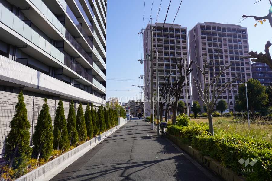 敷地南側の前面道路（西側から）