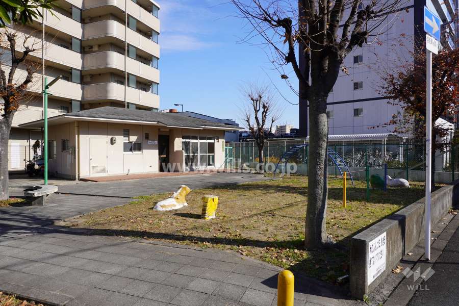 敷地西側に隣接する公園