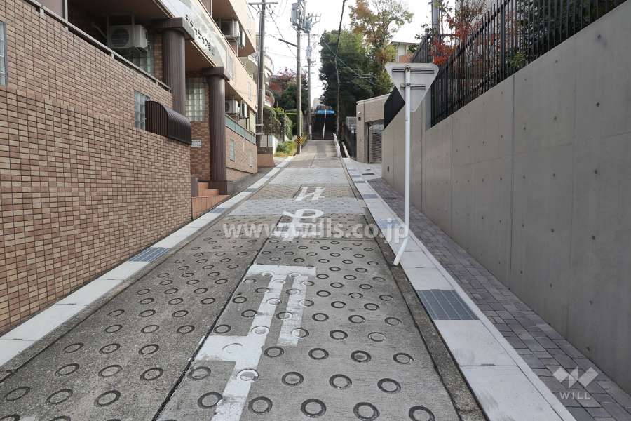 敷地北側の前面道路