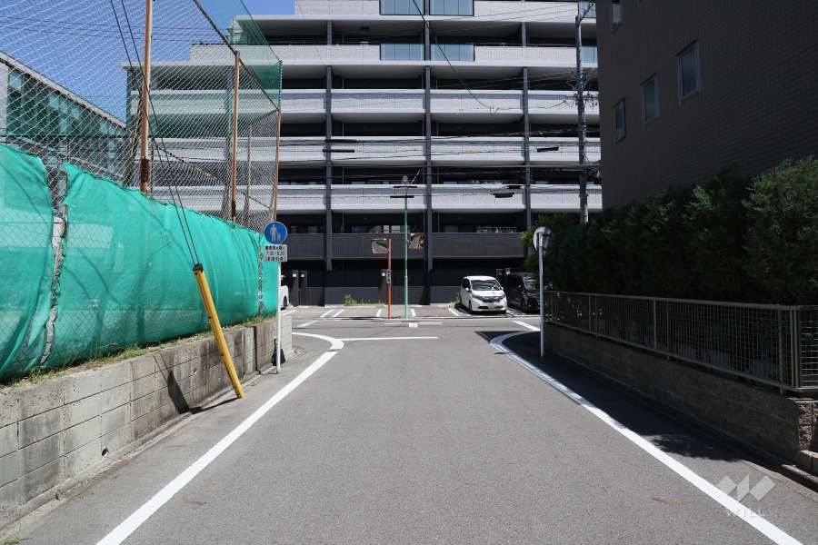 敷地南側の前面道路（南側から）