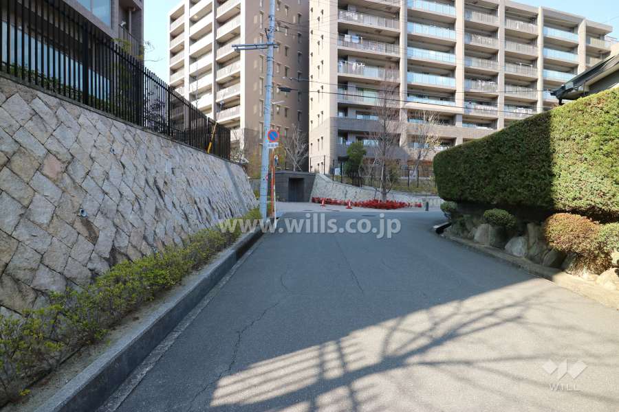 敷地東側前面道路