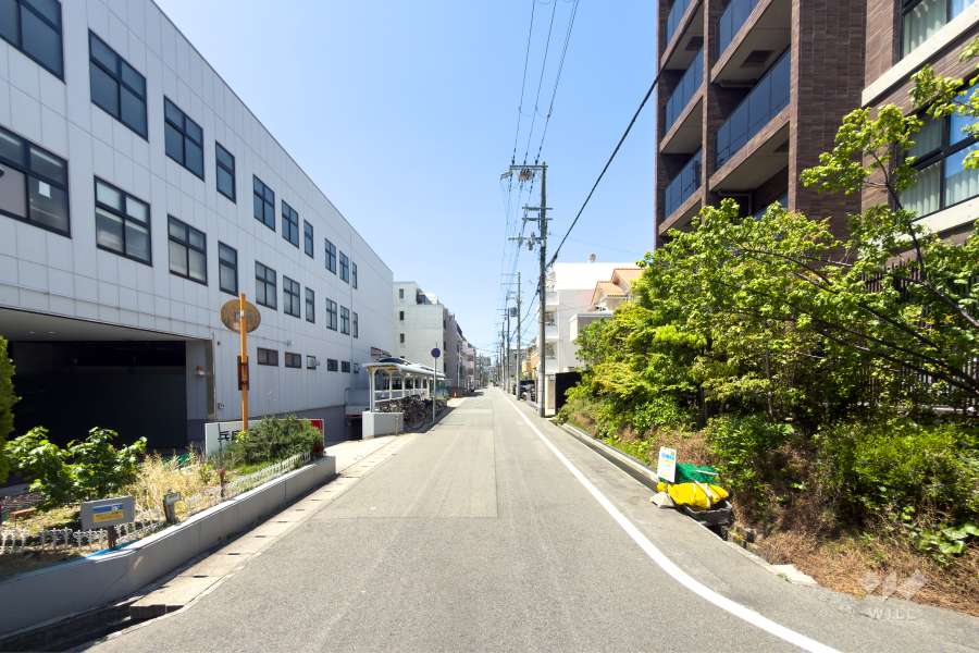 敷地南側の前面道路（東側から）