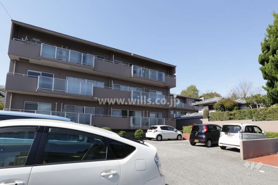 グランドメゾン中山の外観（南側から）