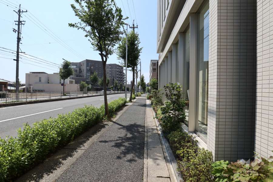 敷地の南東側前面道路（北東側から）