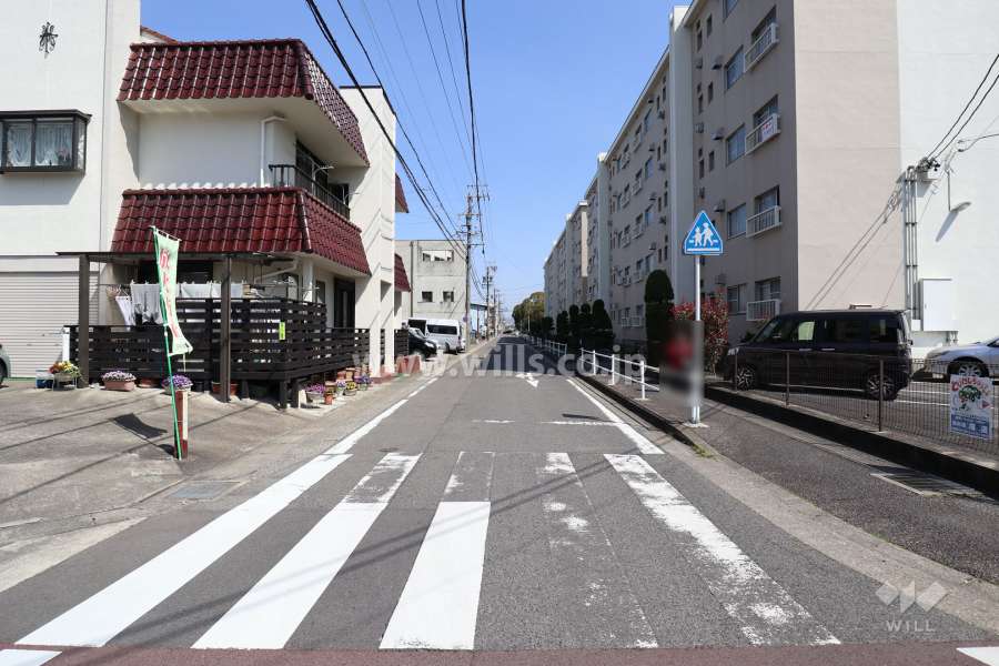 敷地の北側前面道路（西側から）