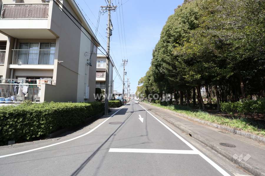 敷地の東側前面道路（南側から）