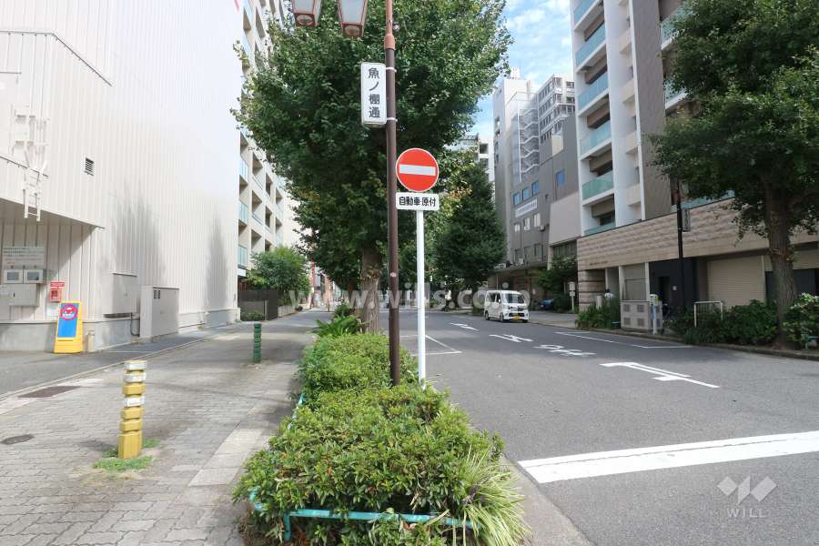 敷地南側の前面道路（西側から）