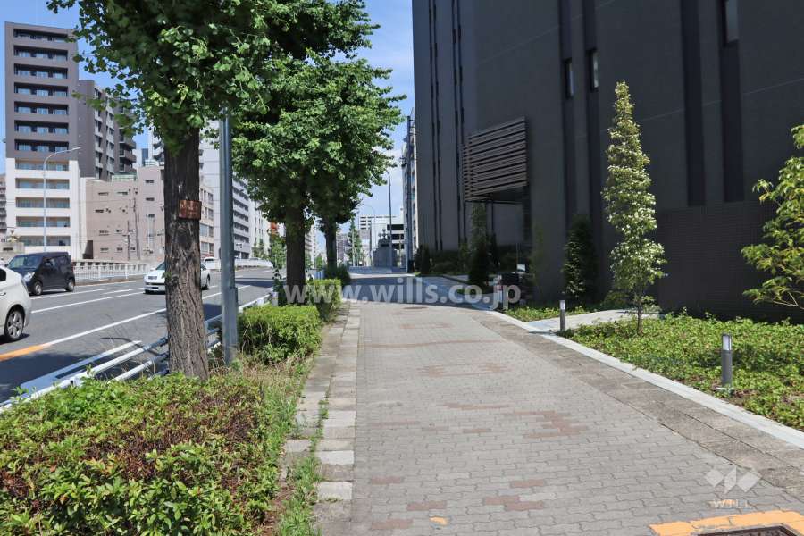 敷地北側の前面道路