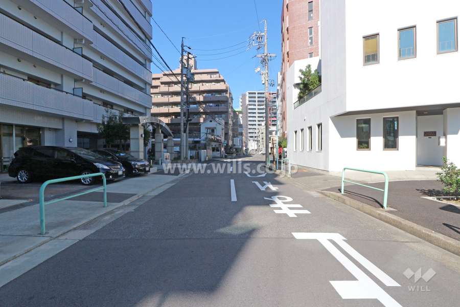 敷地東側の前面道路（南側から）