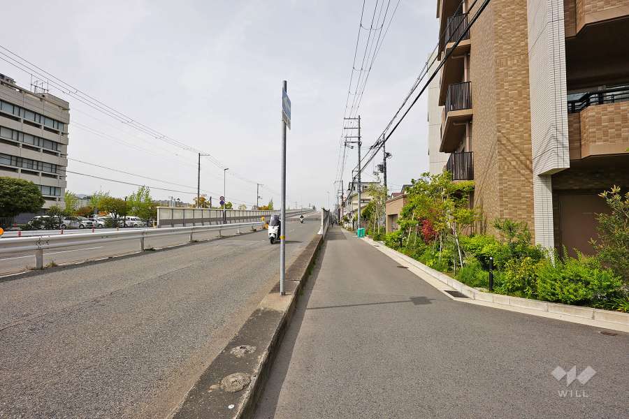 敷地西側前面道路は中津濱線です。