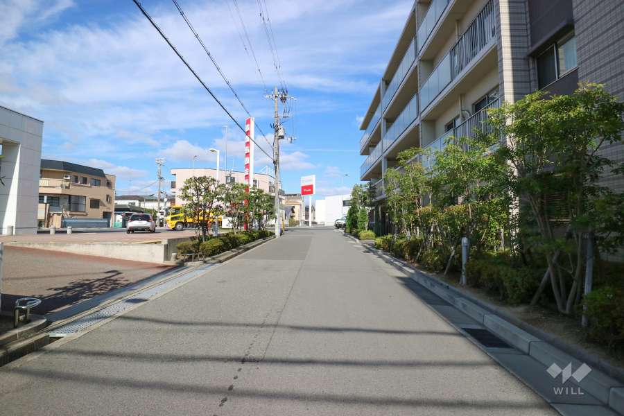 敷地西側の前面道路（南側から）