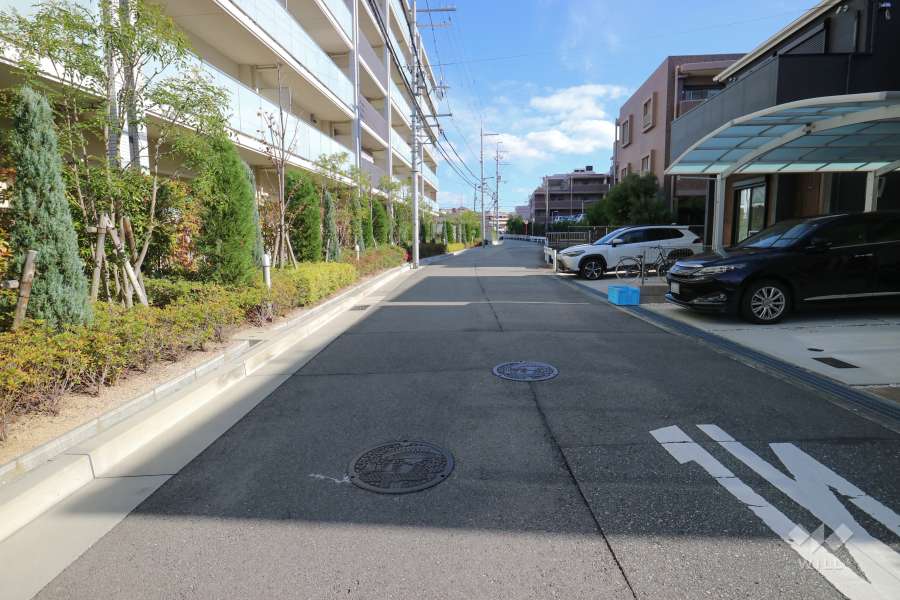 敷地南側の前面道路（西側から）