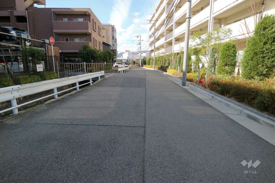 敷地南側の前面道路（東側から）