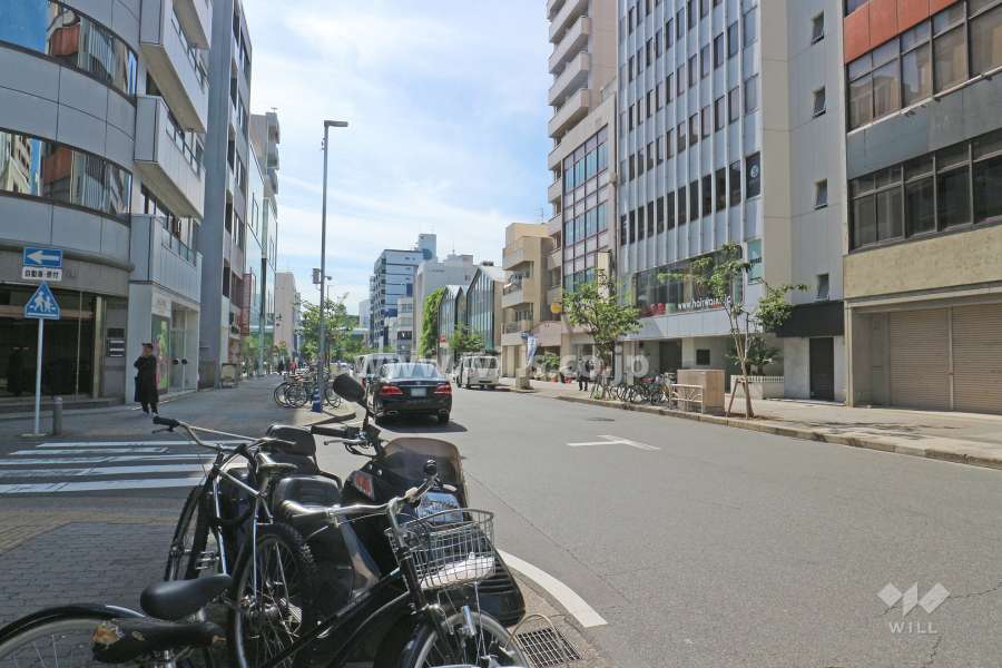 敷地南東側の前面道路（北東側から）