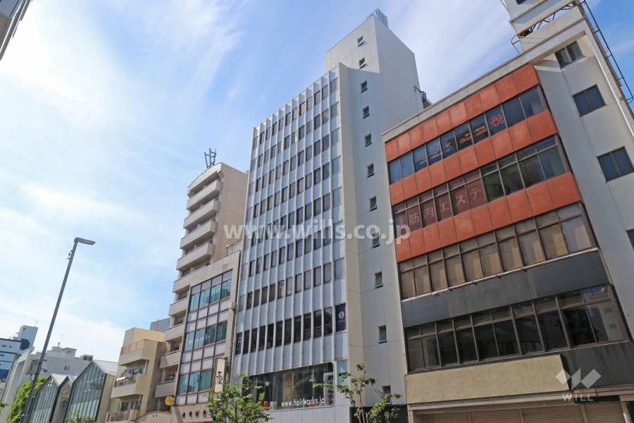 ハイライク栄ハイツの外観（東側から）