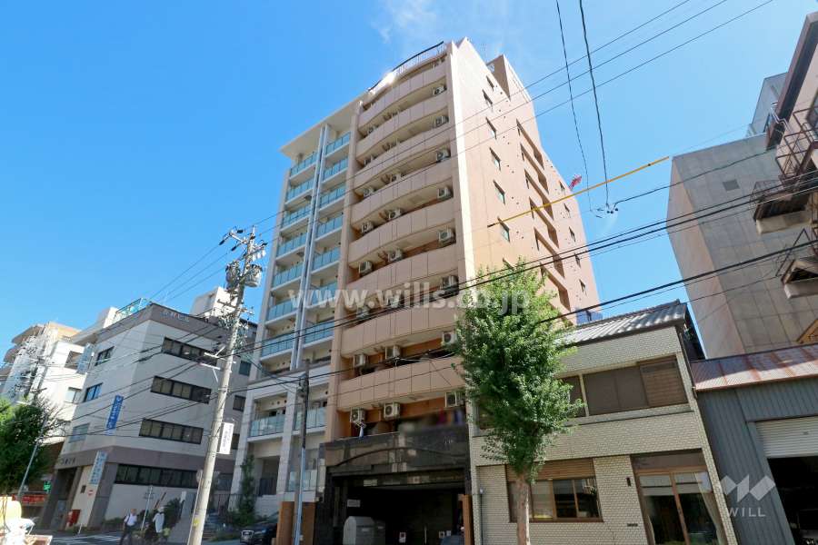 ライオンズマンション丸の内第6の外観（南西側から）