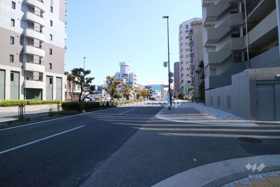 敷地西側の前面道路