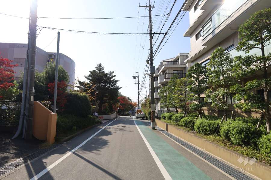 敷地東側の前面道路（北側から）