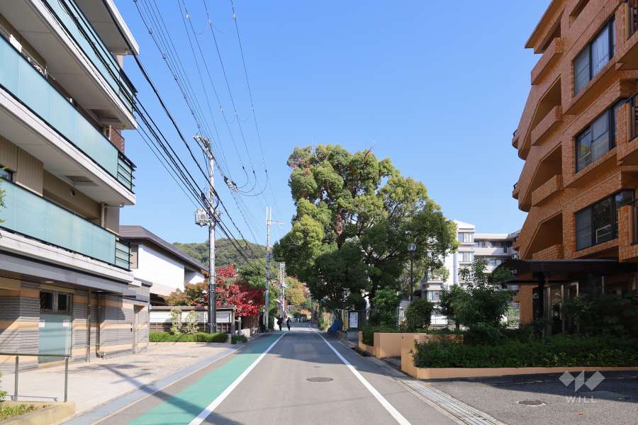 敷地東側の前面道路（南側から）
