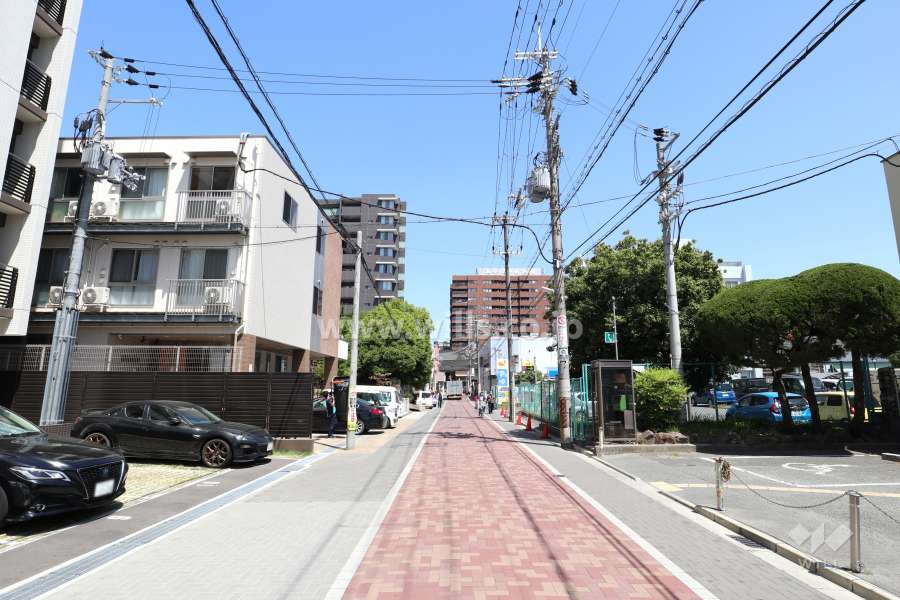 敷地東側の前面道路。一方通行です。