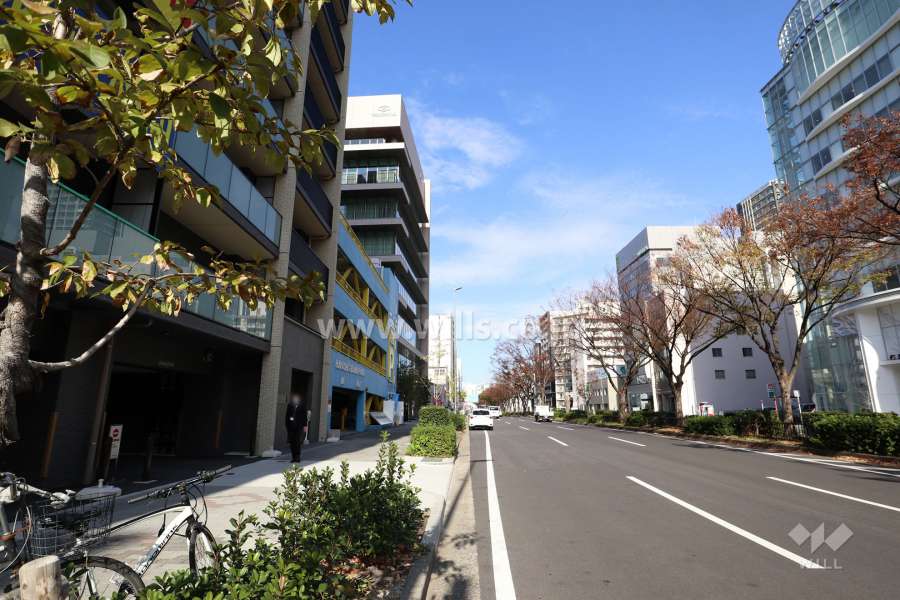 敷地東側の前面道路（南側から）