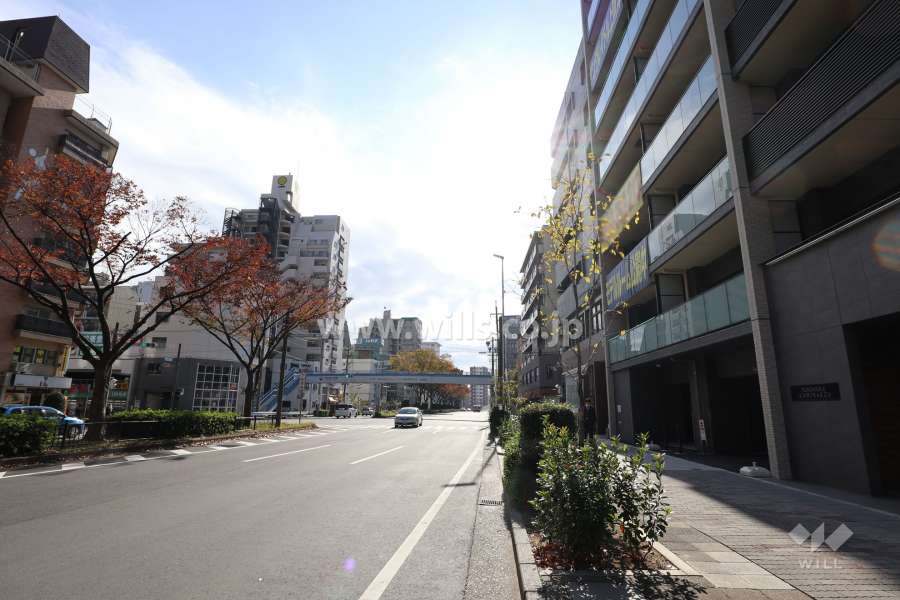 敷地の東側前面道路（北側から）