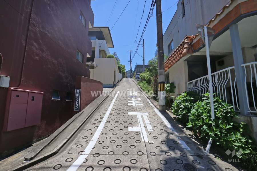 敷地西側前面道路(北側から)