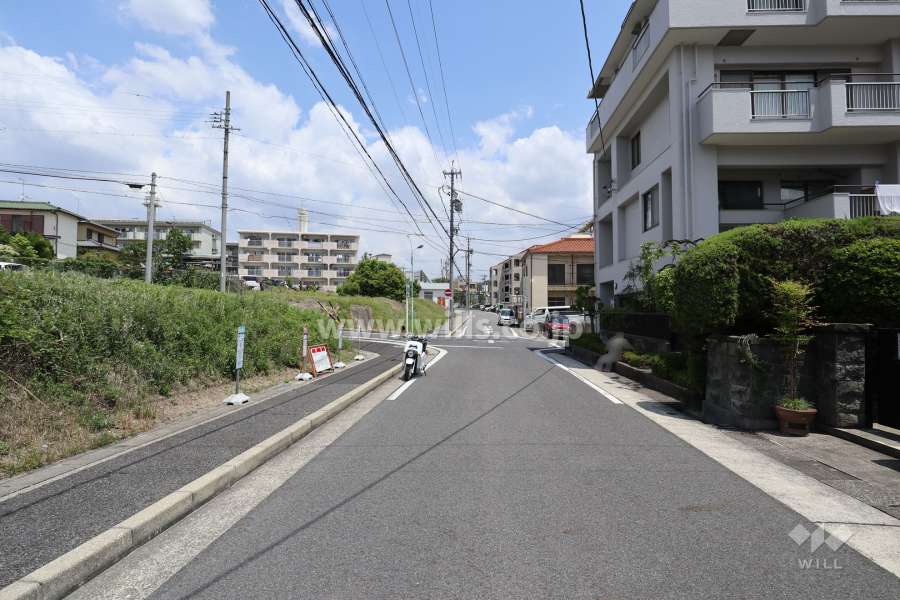 敷地の西側前面道路（南側から）