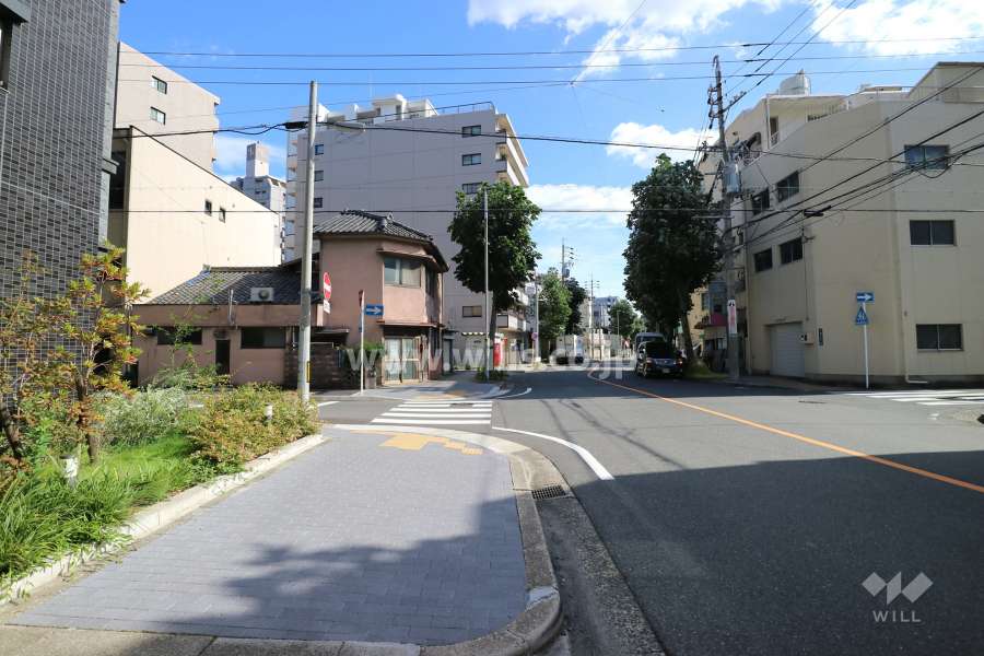 敷地東側の前面道路（北側から）