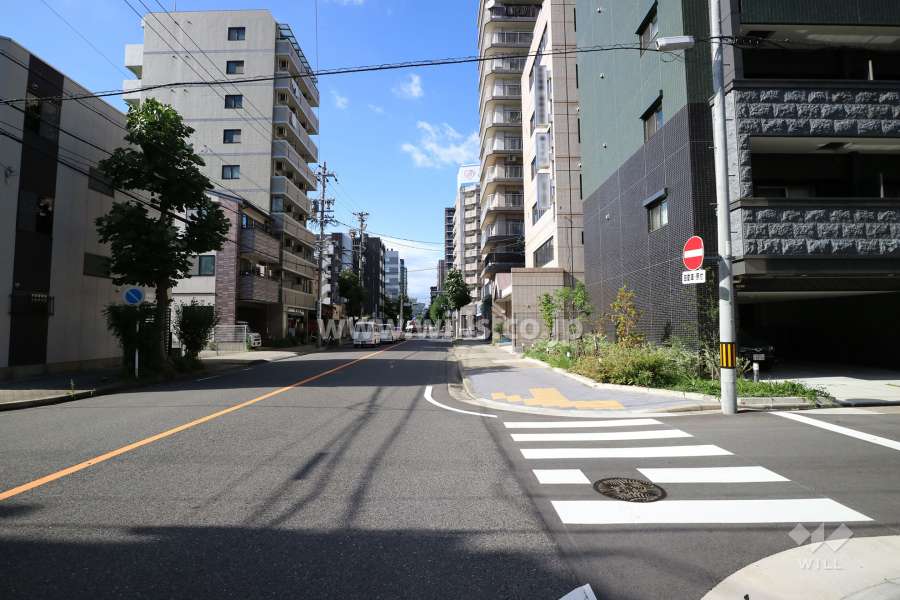 敷地西側の前面道路（南側から）