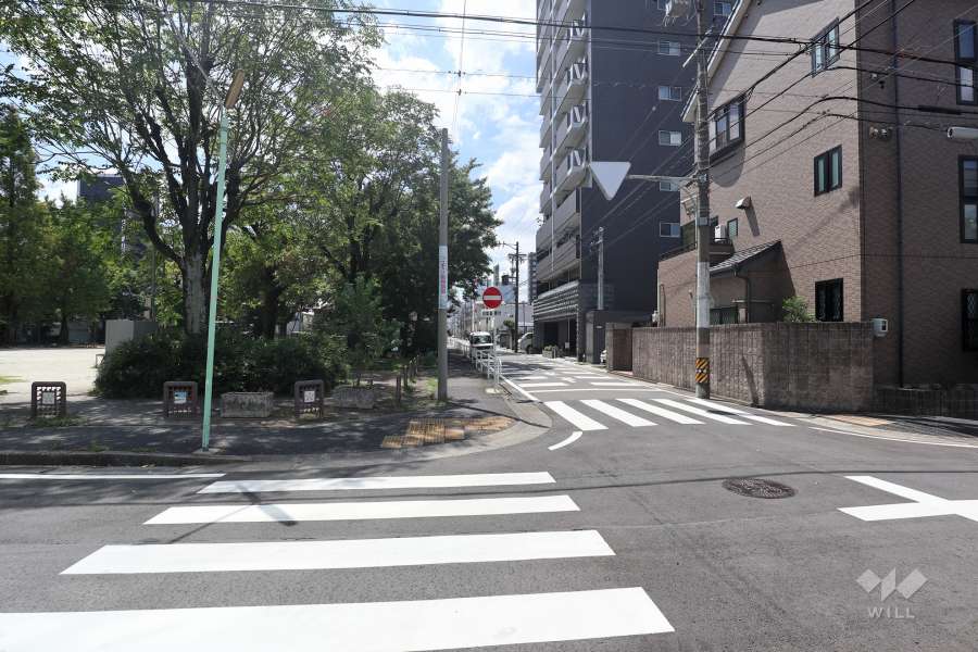 敷地東側の前面道路