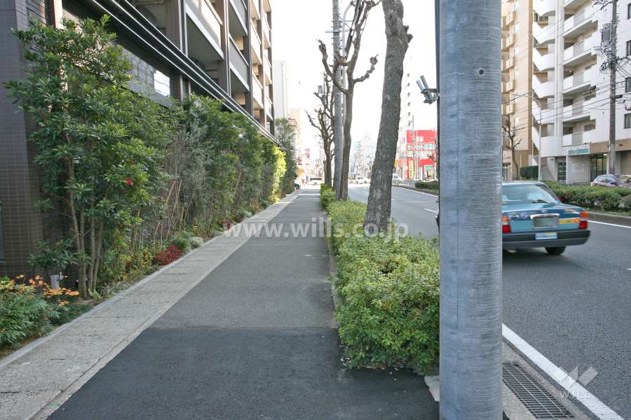 敷地西側の前面道路