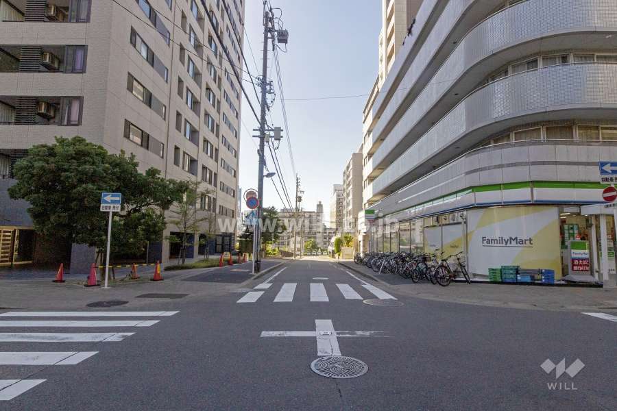 敷地南側の前面道路（東側から）
