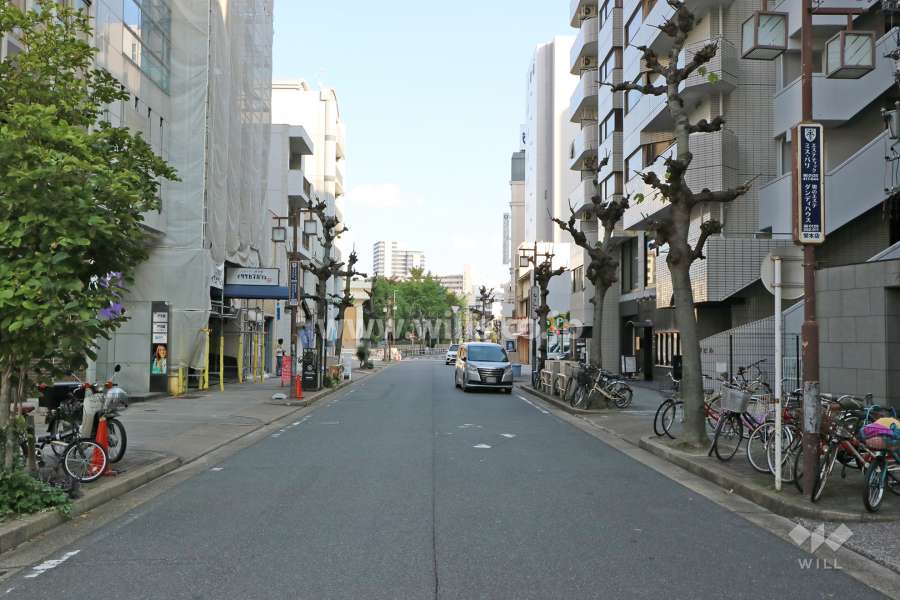 敷地北東側の前面道路（北西側から）