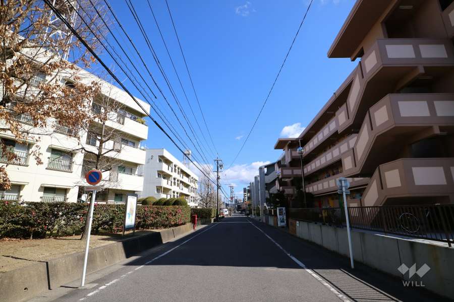 敷地南側の前面道路（西側から）