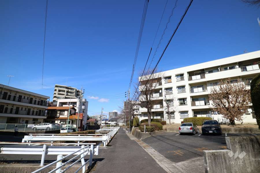 敷地西側の前面道路（南側から）