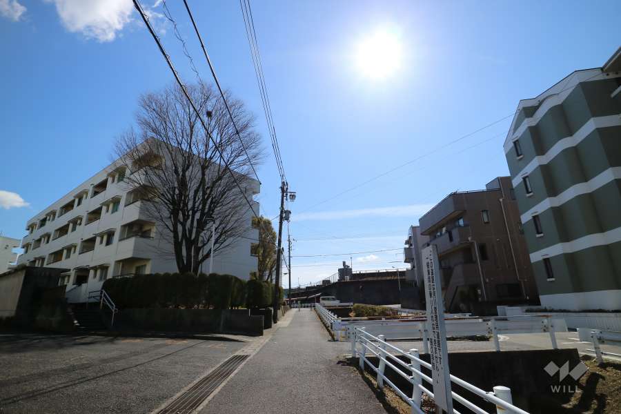 敷地西側の前面道路（北側から）