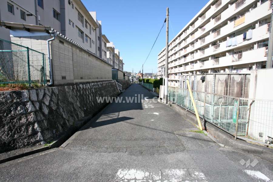 敷地北側の前面道路（東側から）