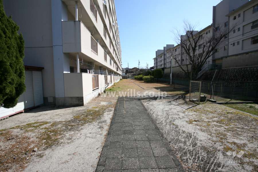 通路（南側）