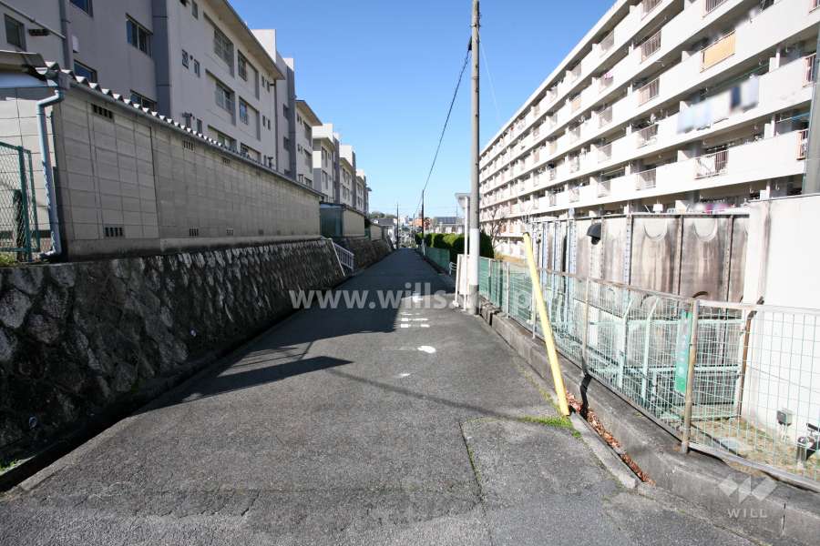 敷地南側の前面道路（東側から）