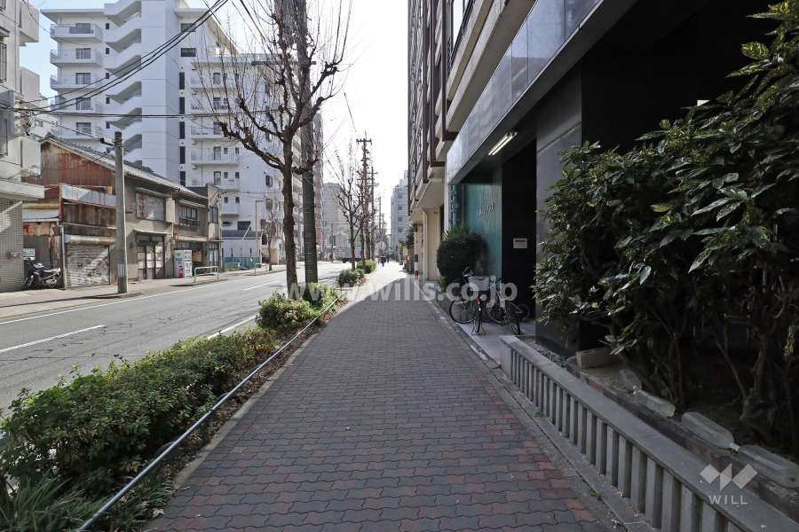 敷地東側の前面道路（北側から）