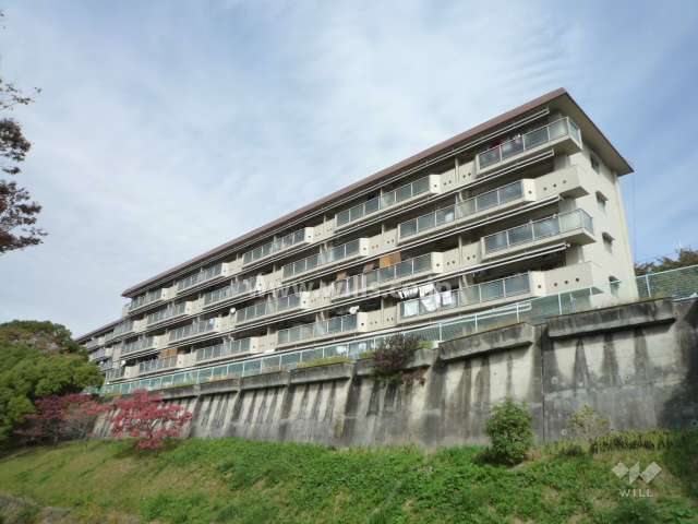 建物の南西側を撮影