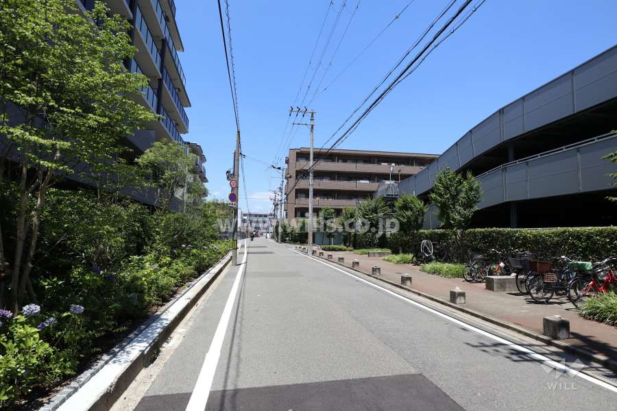 敷地東側の前面道路