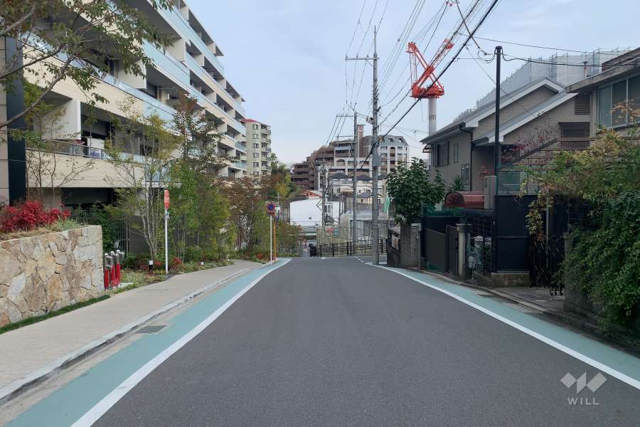 敷地南側の前面道路(西側から)